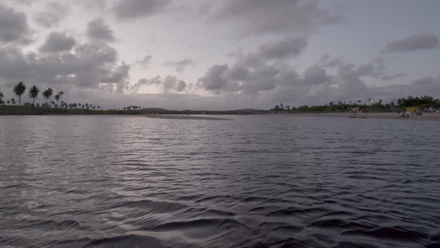 Wide shot of calm ocean with palm trees and clouds at dusk