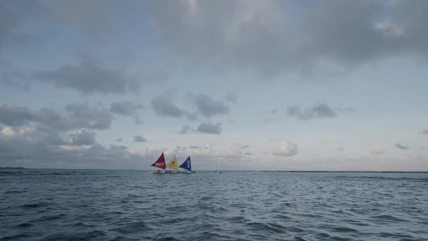 Three small sailboats travel in the ocean