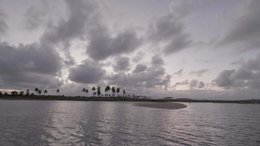 A calm coastal landscape at dusk with palm trees
