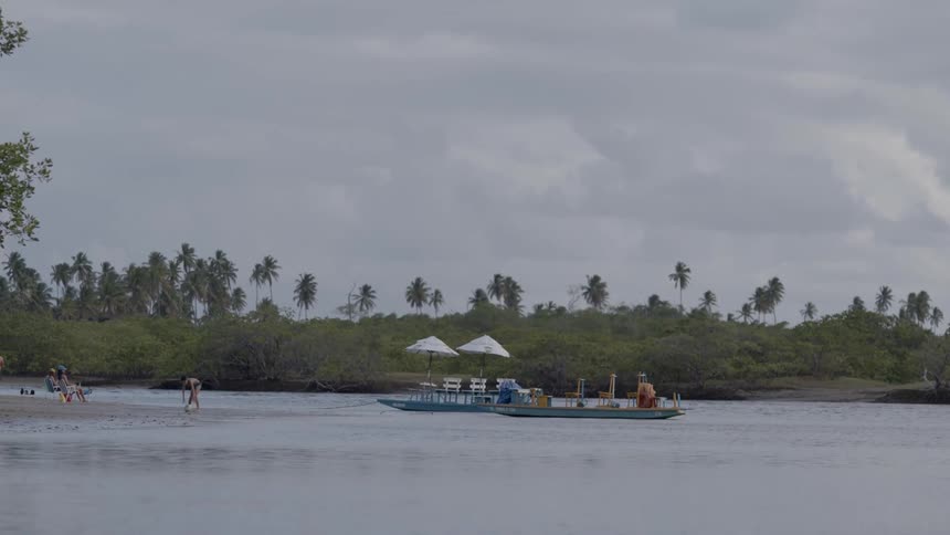 People are playing on the beach of the tropical island