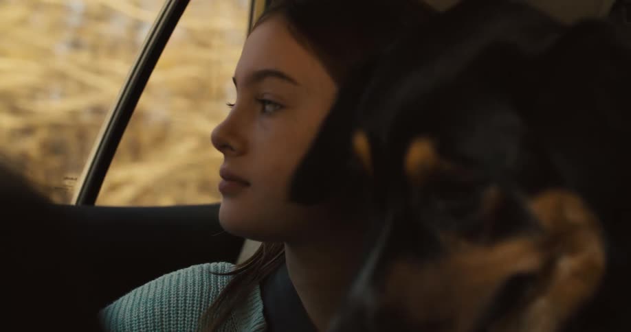 A girl with brown hair sits in the back of a car looking out the window a dog is next to her also looking in the same direction