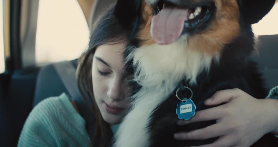 Sleepy teenager hugging her dog while traveling in a car