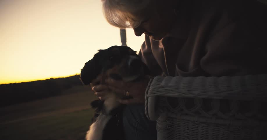 A woman is scratching her dogs head then kisses it
