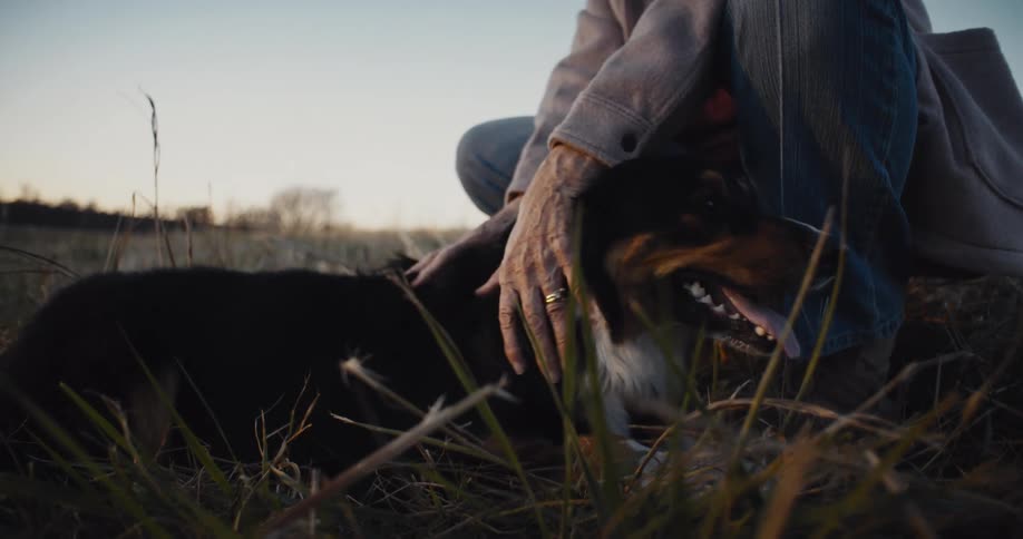 An elderly woman petting her dog lying on the grass