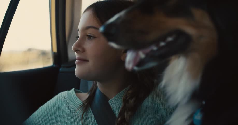 A young girl is a passenger in a vehicle with a dog sitting next to her