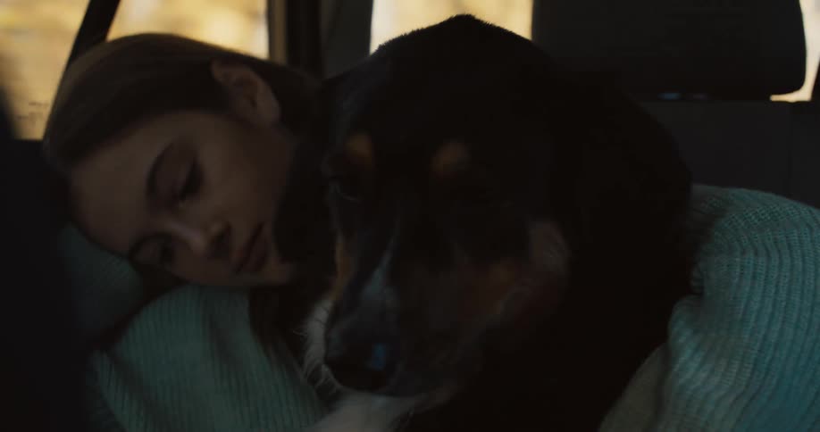 A female pets a dog inside a moving car