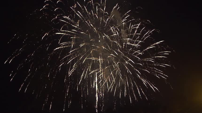 Fireworks explode in the dark night sky