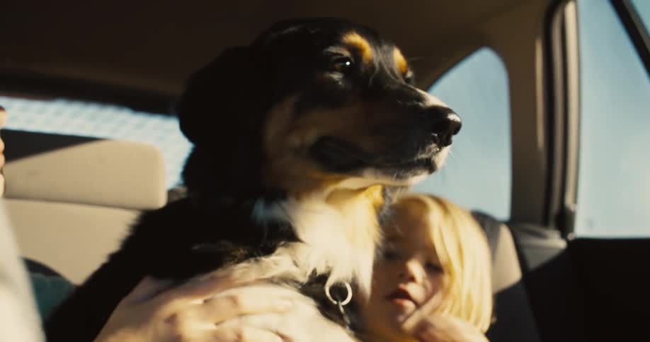 Two girls hug and kiss their dog in the back of the car