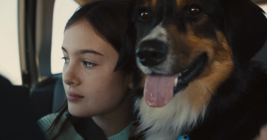 A young girl with long dark hair holds a large black brown and white dog with her arm around its neck while they both look out the window of a moving car