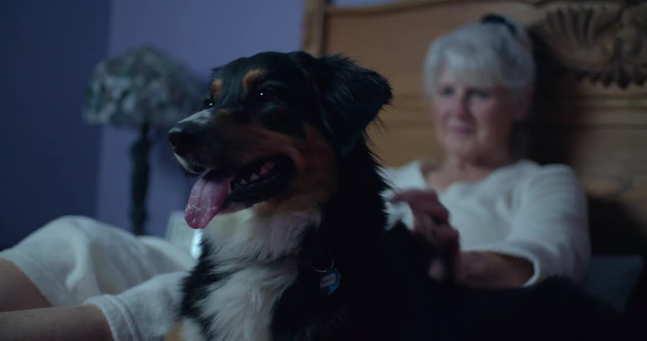 Senior woman petting her dog in a bedroom