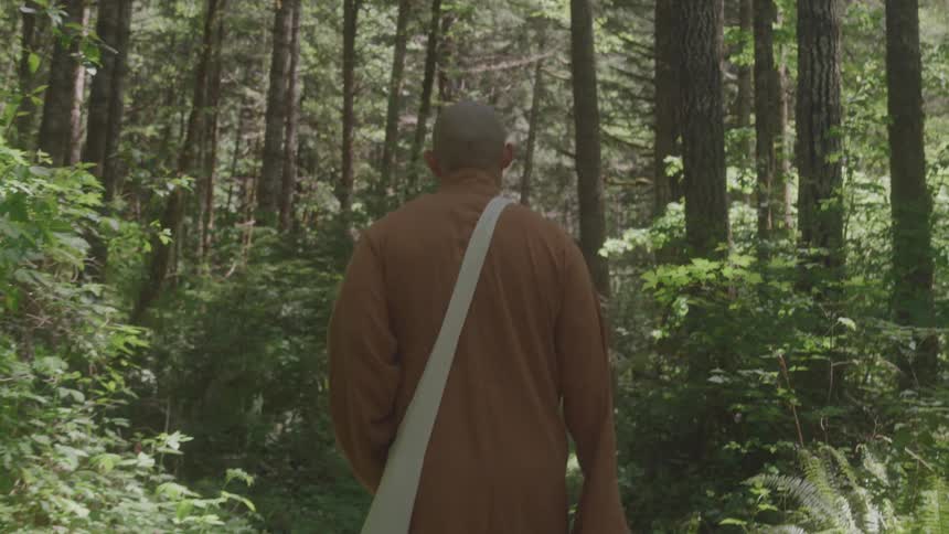 Person in a brown robe walks alone along a trail in a dense forest