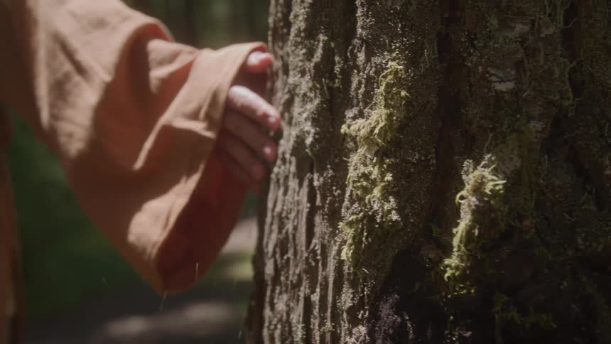 Woman rubs her hand across the bark of a tree as she walks through the forest