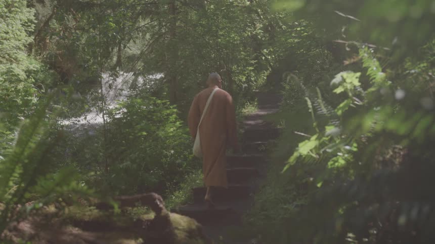 A monk hikes up stone steps in a lush forest with a small waterfall flowing nearby