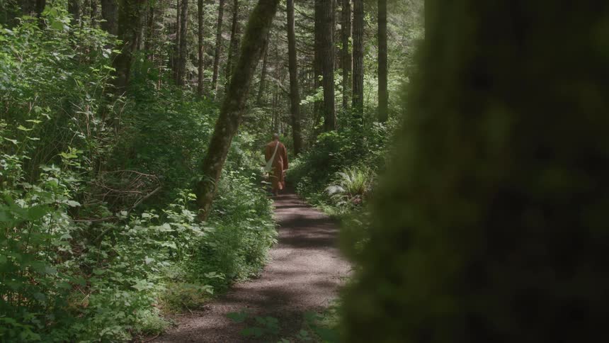 Person walking alone along a trail in the forest