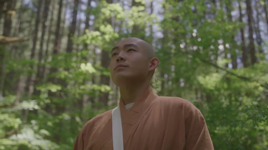 Monk in orange robes standing in the forest looking upward in contemplation