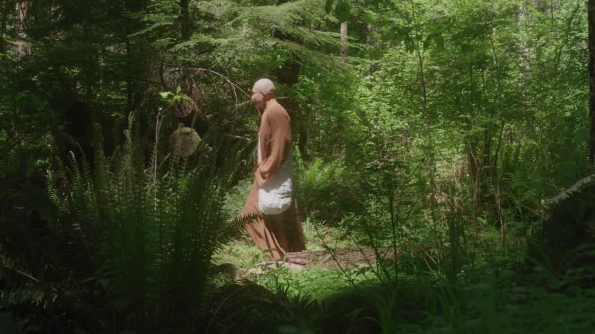 A man with a messenger bag is walking through a forest
