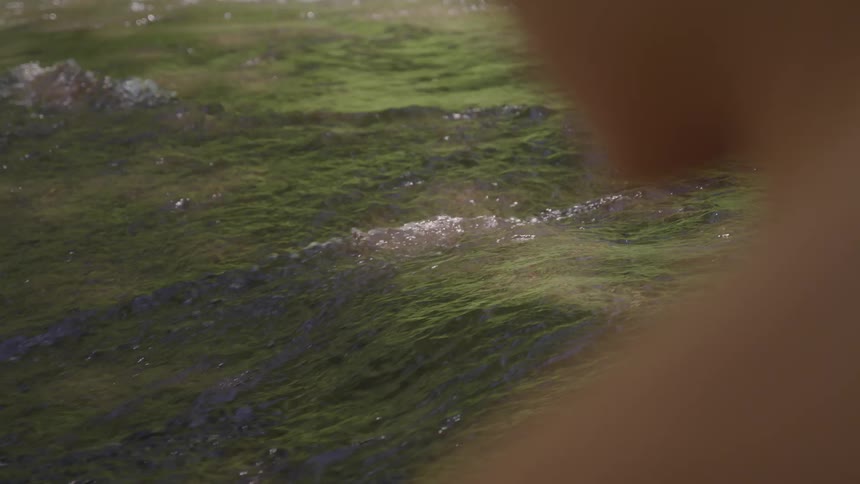 A young man stands on the riverbank watching the river flow