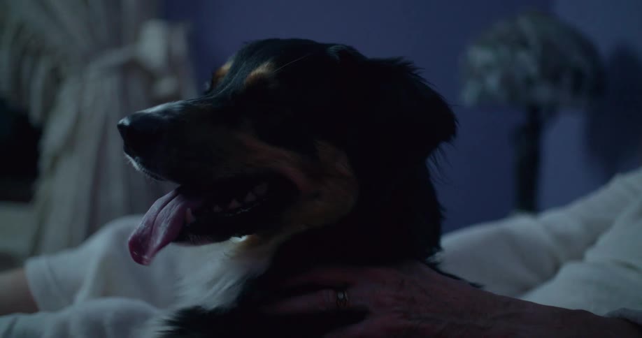 The woman is petting her dog in bed