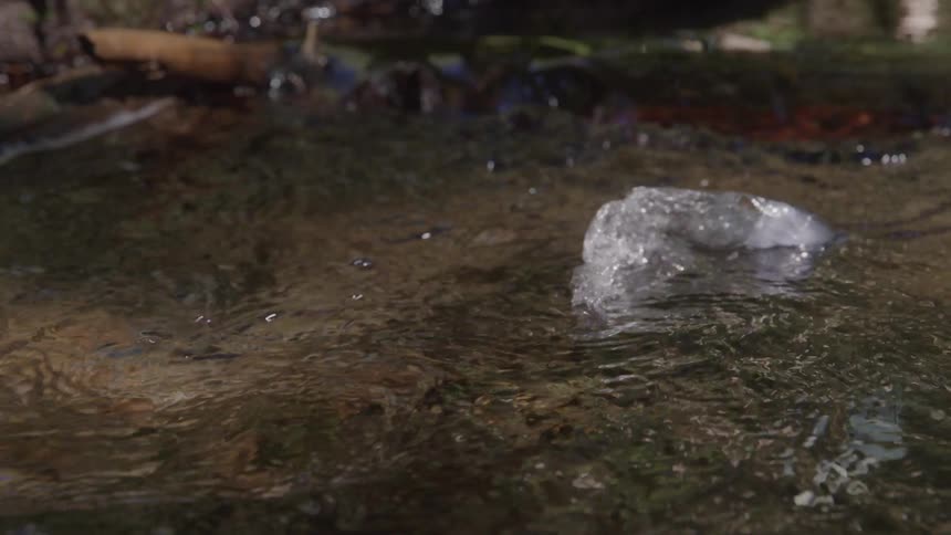 Piece of plastic floats on the surface of a stream