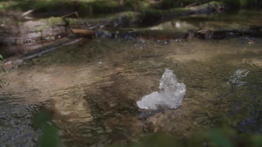 A crumpled piece of plastic wrap floats downstream carried by the current of a clear forest stream