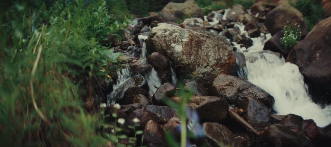 A stream of water is flowing over a group of large dark rocks there is green grass and other plants in the foreground of the shot