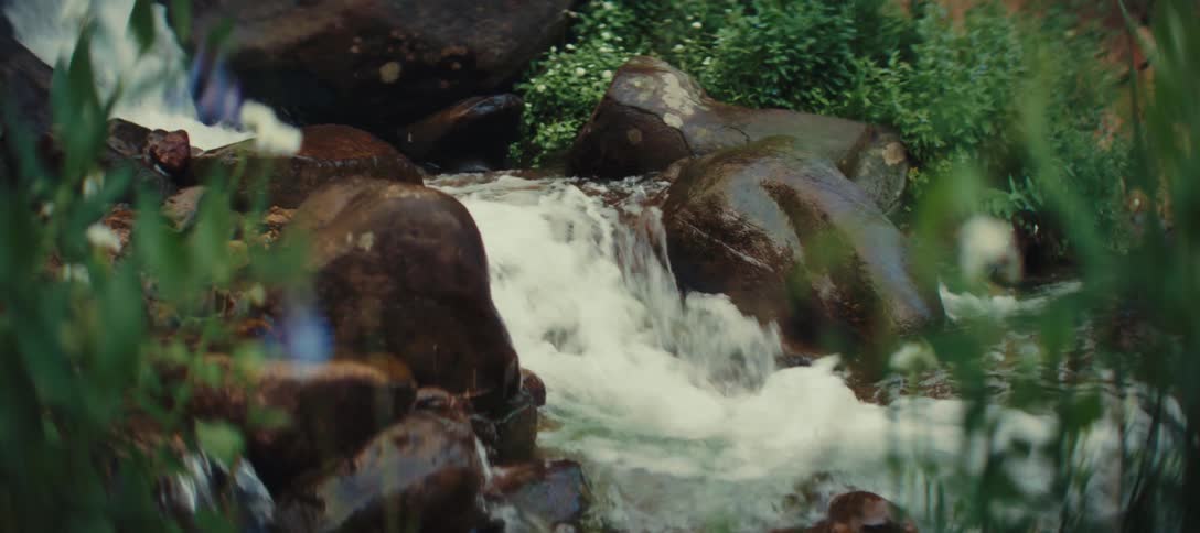 A stream flows down a rock in the woods at midday