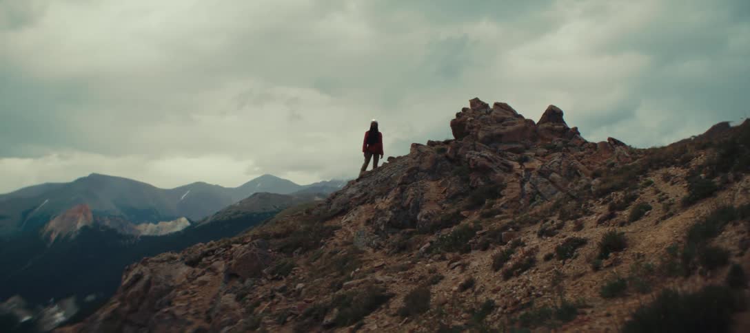 A person wearing a hoodie climbs a hill in the wild on a cloudy day
