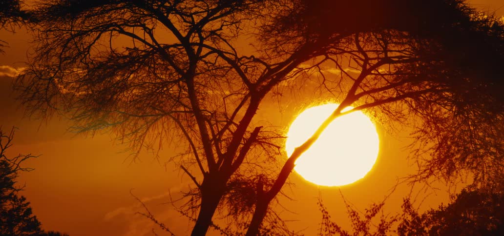 The sun hangs low in a red sky