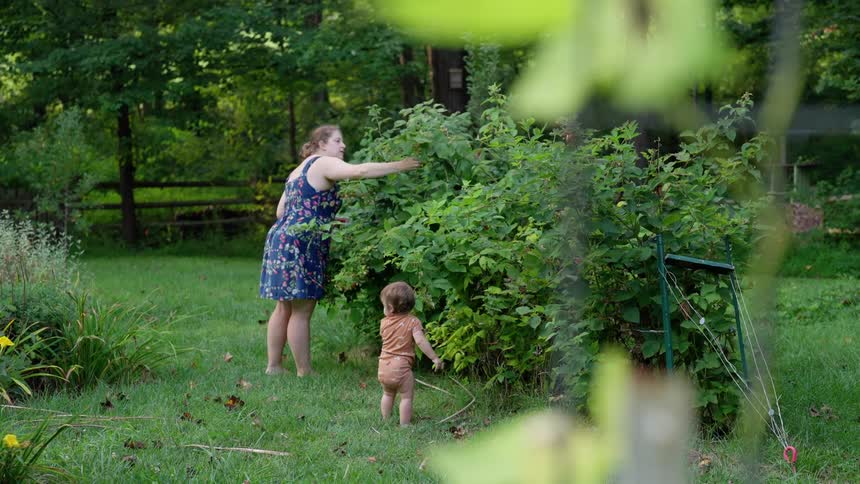 A woman picks berries in a garden while a toddler stands nearby