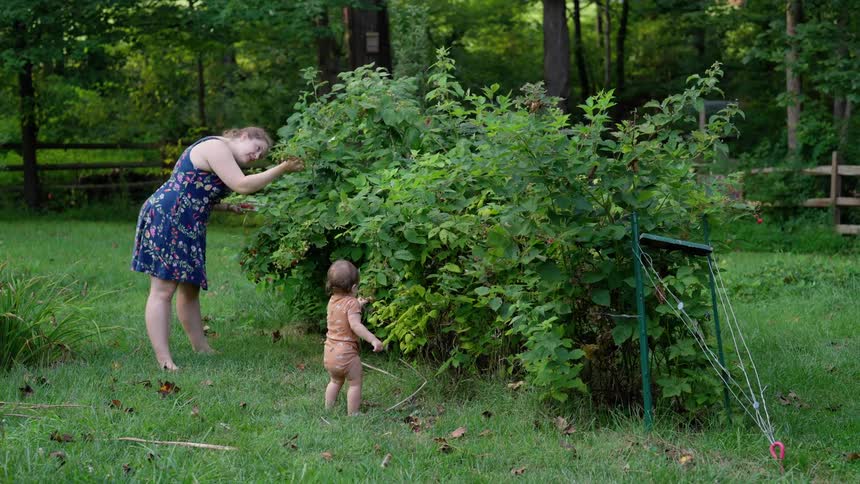 A mother and toddler pick berries together in a garden