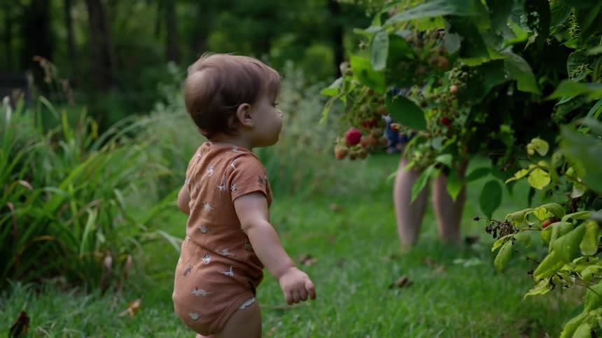 a young child is walking through a lush green garden the child is wearing a brown onesie with a pattern in the background an adult can be seen standing near a bush with red berries