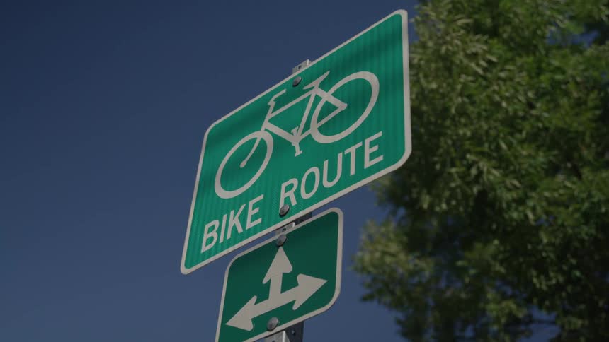 Green bike route street traffic sign in front a tree