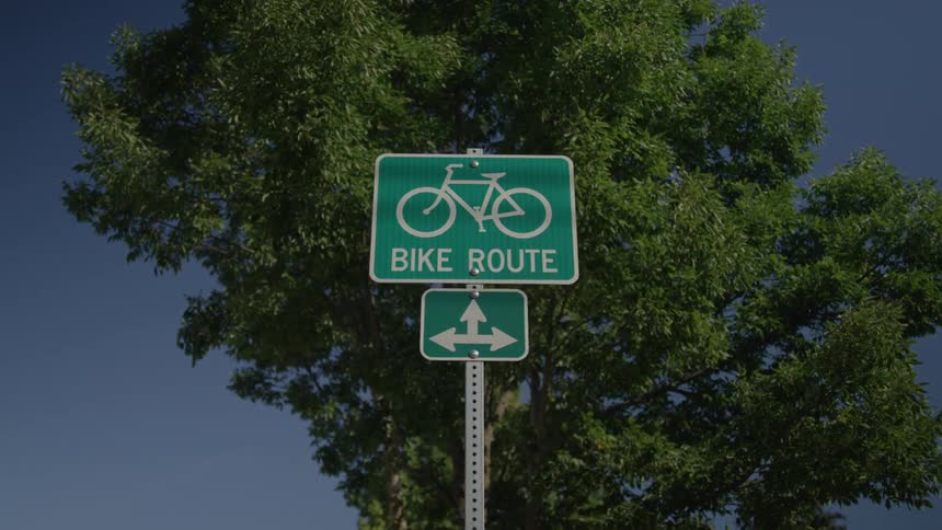 A sign shows a bike route by the tree