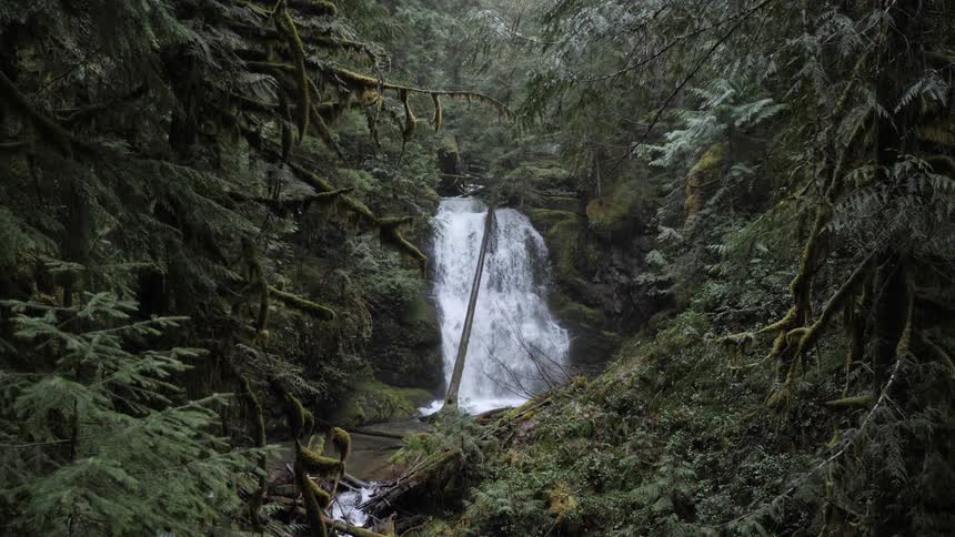 A waterfall cascading through dense rainforest