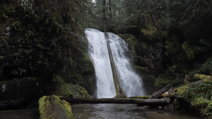 Waterfall in a forest surrounded by fallen logs and moss