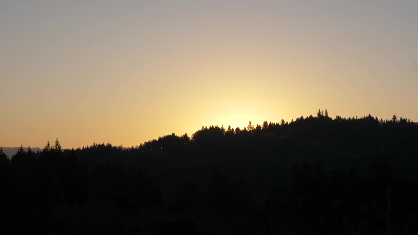 The sun rises over a forested a mountain as birds fly across the sky