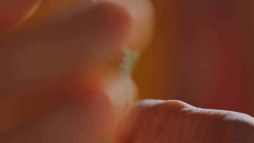 A person puts the thread through the needle