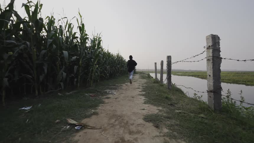 A man running away from the camera down a dirt path with a field of tall corn on one side and a body of water on the other