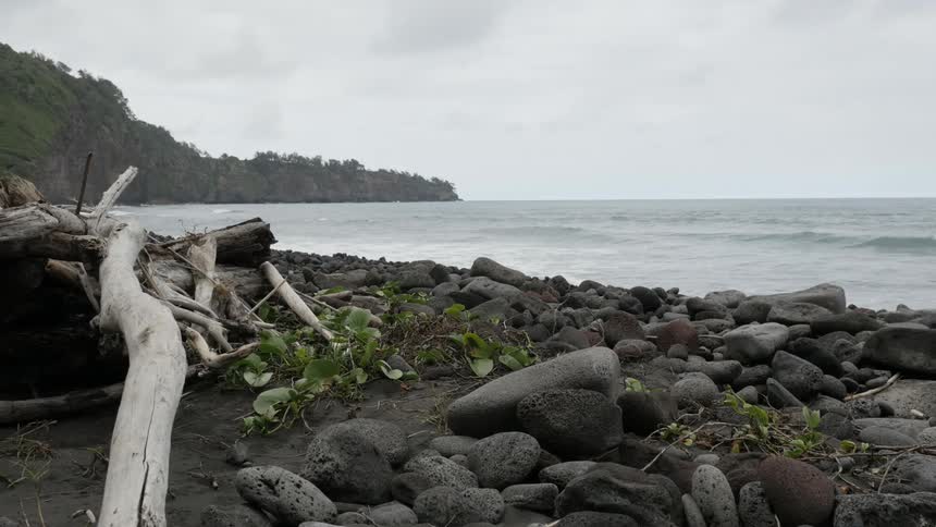 A rocky coastline on an overcast day with waves gently rolling onto a beach littered with large stones and driftwood