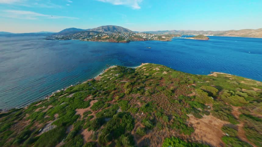 Birds fly on the shore of the green island