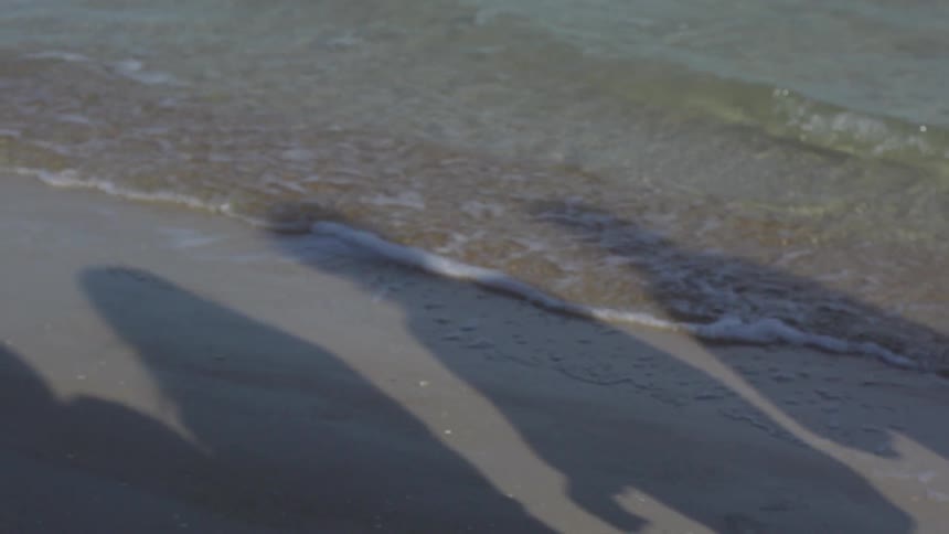 A group of people walk on the beach