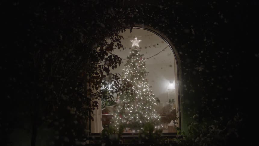 A decorated christmas tree glows in a living room indoors