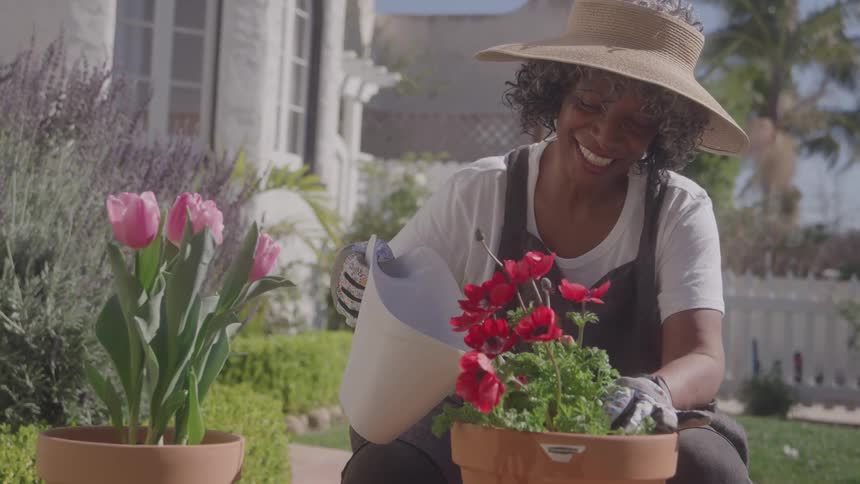 Smiling woman with a straw hat waters red flowers in a pot in the garden