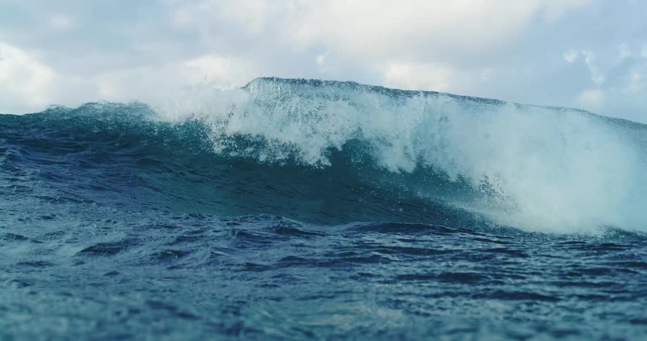 The wave crashes in the large ocean