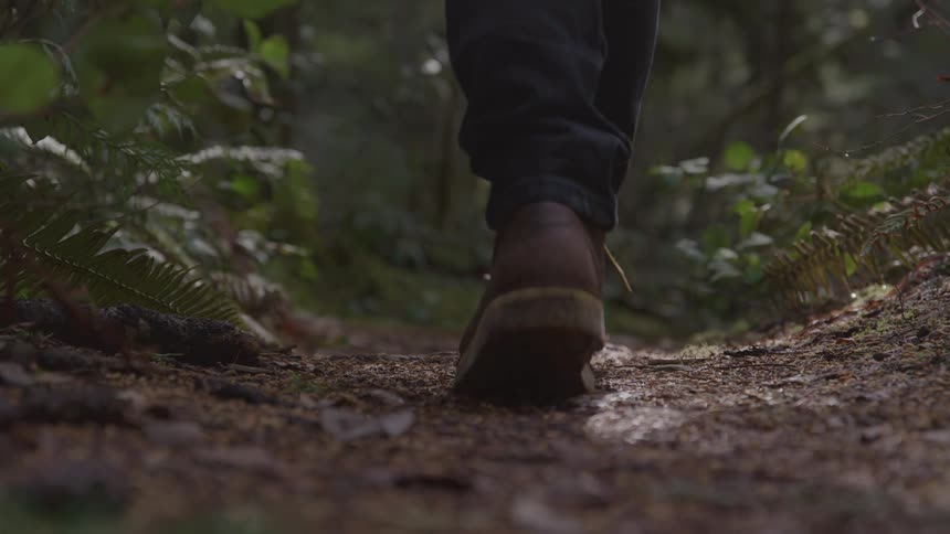 Closeup of a person walking along a forest trail