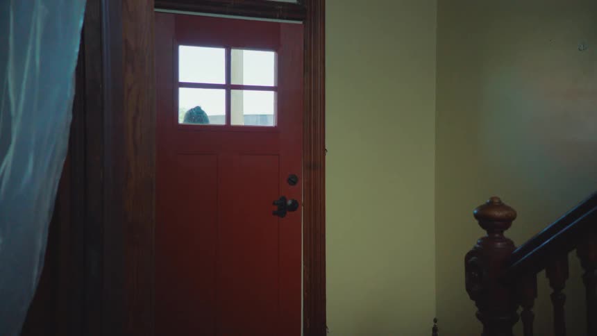 A view from the inside of a home shows a woman going out using the front door before the door is completely closed
