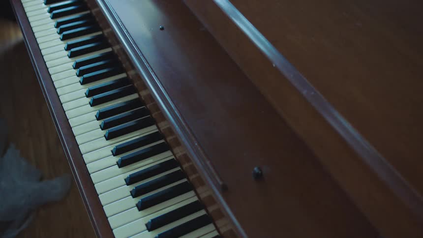 Translucent plastic coming out of a piano