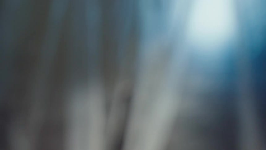 A large sheet of semi opaque plastic is shown in a close view with a bright light on the right side illuminating the folds in the material as it slowly moves and shifts