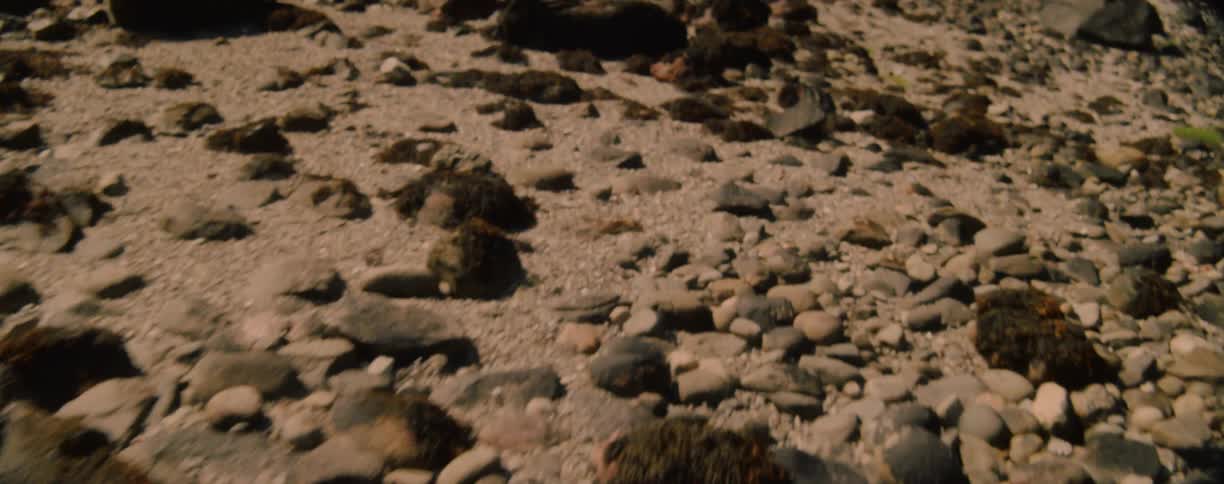 Ground covered with rocks and small pebbles in a beach