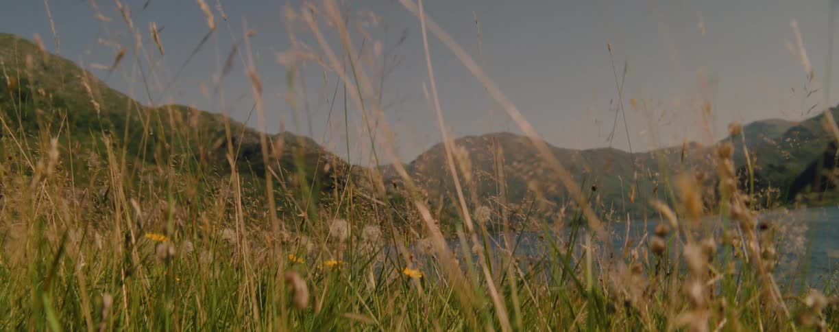 Tall grass and vegetation along the coast moves in the breeze with mountains in the distance